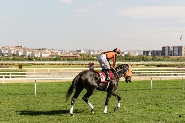 Çalışma Seansı