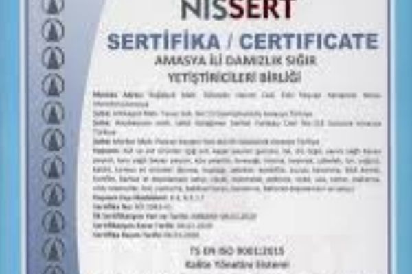 Damızlık Belgesi