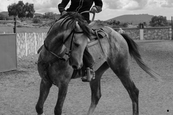 Geri Yürüyüş
