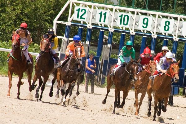 İl Spor Dalı Temsilcisi