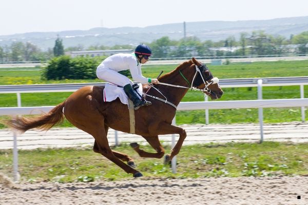 İskemle Oturuşu