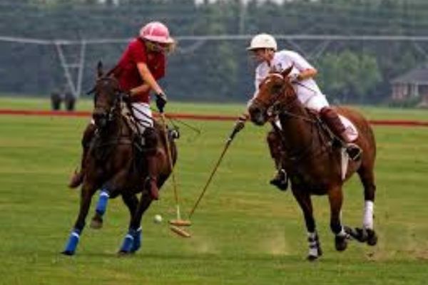 Polo