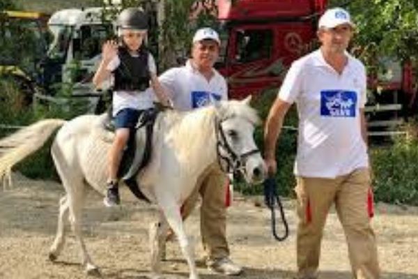 Poni Antrenörü