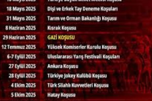 Program