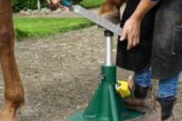 Tırnak Törpüleme Sehpası