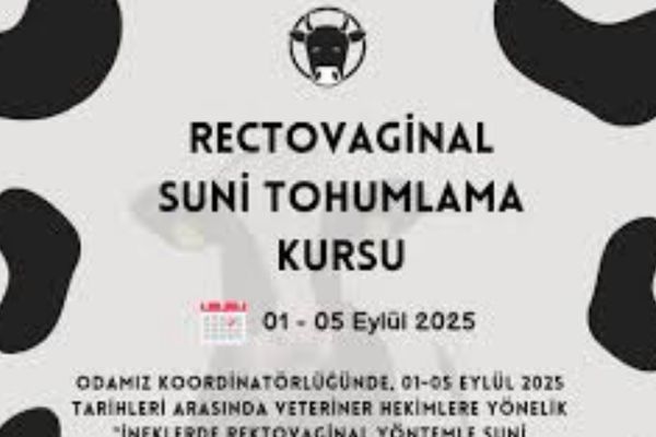 Tohumlama Belgesi