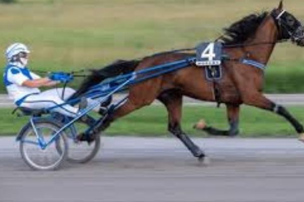 Trotting