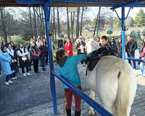 ‘Horse Care’ Information Shared with Young Horse Breeders in Ankara Region