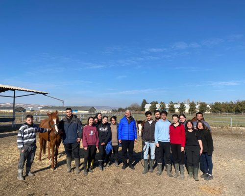 We met with the young people of Ankara University Faculty of Veterinary Medicine Horse Society