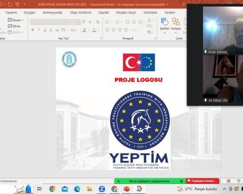 Meeting Held with the Deputy Secretary General of the Turkish Equestrian Federation