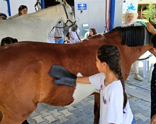 Children in Çubuk District Met Horses